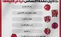 ۱۰دلیل عمده احساس درد در کلیه‌ها