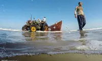 فصل صید در دریای خزر