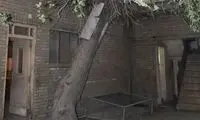 واکنش به تخریب خانه احمد محمود