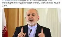 ظریف با «پاپ فرانسیس» دیدار کرد