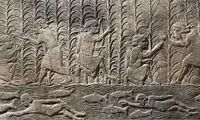 کشف کهن‌ترین شواهد کشت چندگانه توسط بشر