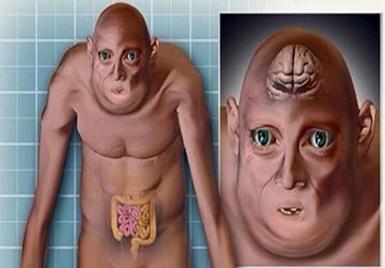 شکل انسان‌ها در سال 3000 میلادی +عکس