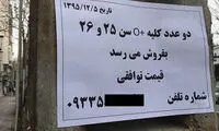 آگهی‌های عجیب؛ از فروش چشم تا فروش کلیه