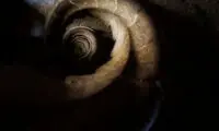 راه پله هایی که موجب سرگیجه می شوند!