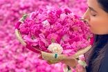 شهری که در آن گل‌ها می‌درخشند ولی برق‌ها نه!