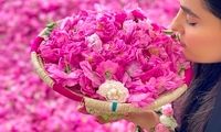 شهری که در آن گل‌ها می‌درخشند ولی برق‌ها نه!