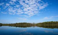 جنگلِ زیبای کارلیا در روسیه +عکس