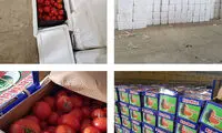 توقیف ۱۷ تن گوجه فرنگی قاچاق در گمرک بانه