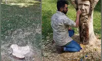 قطع تندیس شجریان در پارک ملت مشهد!