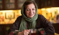 فقط مراقب بخش سیاسی تلویزیون هستند