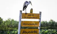 زیبایی‌های تالاب رنجور انزلی