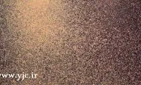 نقاشی هایی از جنس پشه!
