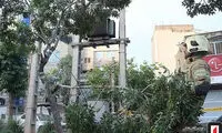 باد شدید، کابل برق فشار قوی را پاره کرد