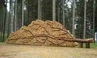 ساخت آثار هنری با هیزم
