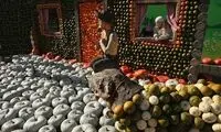 جشنواره زیباترین کدو! +عکس
