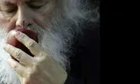 نسخه‌های «جابر عناصری» کجاست؟