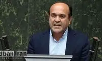 اظهارات توجه‌برانگیز یک نماینده درباره حماس