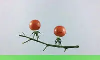 مجسمه های جالبی که با میوه و سبزیجات ساخته شده اند