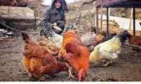 کنایه سنگین پریناز ایزدیار به حذف سیمرغ مردمی
