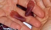 متفاوت‌ و عجیب ترین کودکان دنیا +عکس