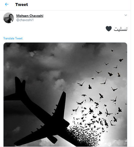 توئیت چاوشی در پی سقوط پرواز تهران - کی‌یف