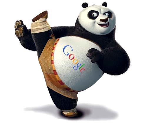 Google Panda پنج نکته ای که باید بدانید