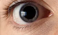 به ترشح آدرنالين معتادم!