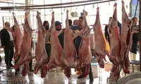عکس: پخت آش 80 تنی در شیراز