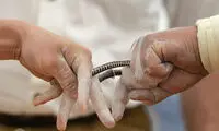 مسابقه انگشت‌کِشی در آلمان