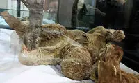 مومیایی نمکی در موزه ایران باستان +عکس
