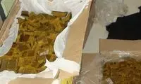 کشف ۴۰۸ کیلو حشیش در پوشش مسافرت