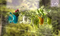 باغ کوچک زیبا روی پنجره! +عکس