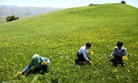 تصاویری دیدنی از مدارس عشایری گیلان