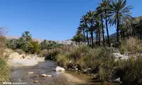 طبیعت منطقه «هماگ» هرمزگان