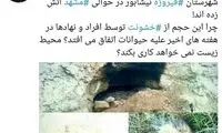 آتش زدن توله کفتار‌ها در نیشابور
