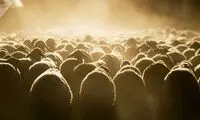 روسیه، گوسفند و بُز به ایران صادر خواهد کرد