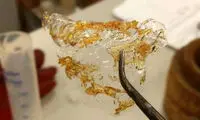 مصری ها از ضایعات میگو پلاستیک ساختند