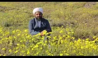 یک روحانی از آذری جهرمی عذرخواهی کرد