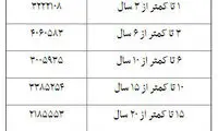 ماندگاری نیروی کار چند سال است؟