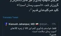 واکنش کنایه‌آمیز مهناز افشار به سهمیه‌بندی کَره