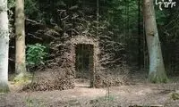 آثار هنری که با گرانش زمین مبارزه می کنند