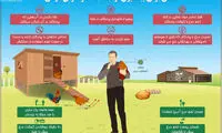 نکاتی برای پیشگیری از ابتلا به آنفولانزای مرغی
