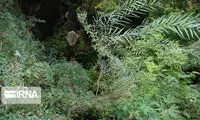 آبشار گرگون پاتاوه