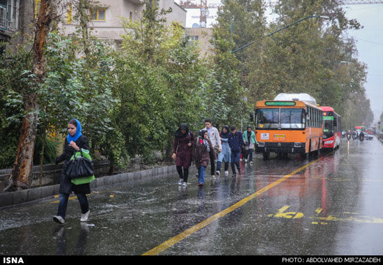 عکس: بارش باران پاییزی در تهران