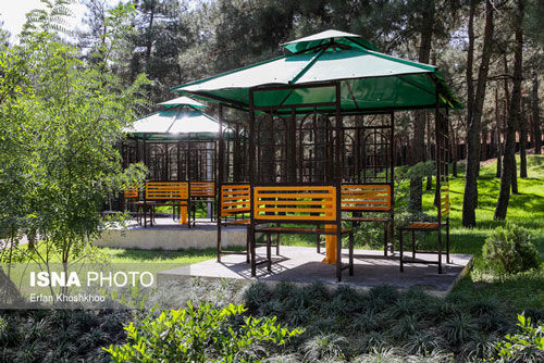 شناسایی و خرید ۱۱ باغ جدید در تهران