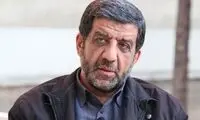 ضرغامی: رضاشاه موقع دفاع از ناموس ملت، رفت