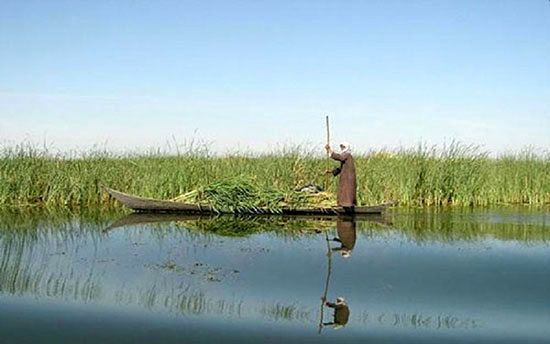 تالاب‌هایی که پر آب شدند