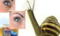 نکاتی در مورد کرم‌های خرچنگ،‌ حلزون و میگو