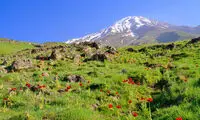 جاذبه های گردشگری ایران به روایت انگلیسی‌ها