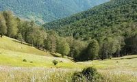 سه مقصد گردشگری رویایی در استان گیلان